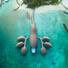best family resort maldives st regis